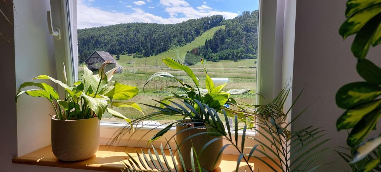 Hotel Prenocisca Miklavcic Nova Vas  Zewnętrze zdjęcie