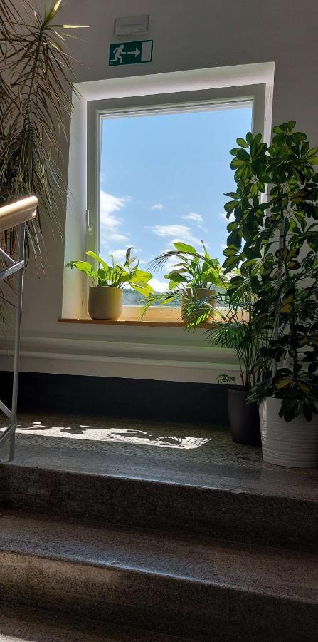 Hotel Prenocisca Miklavcic Nova Vas  Zewnętrze zdjęcie